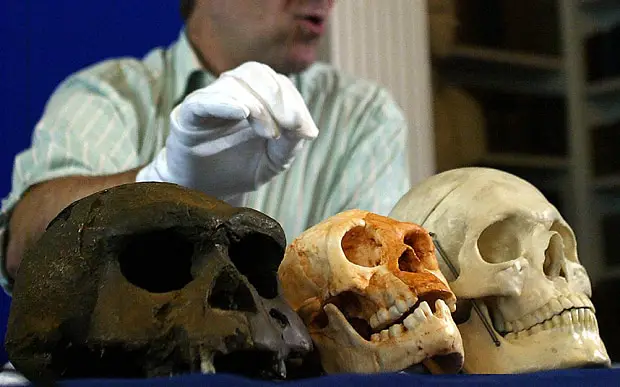 Homo-floresiensis_3575647b