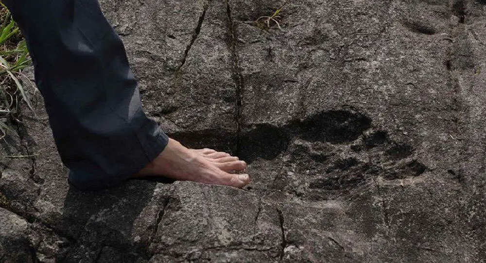 giant-footprint-discovered-in-china