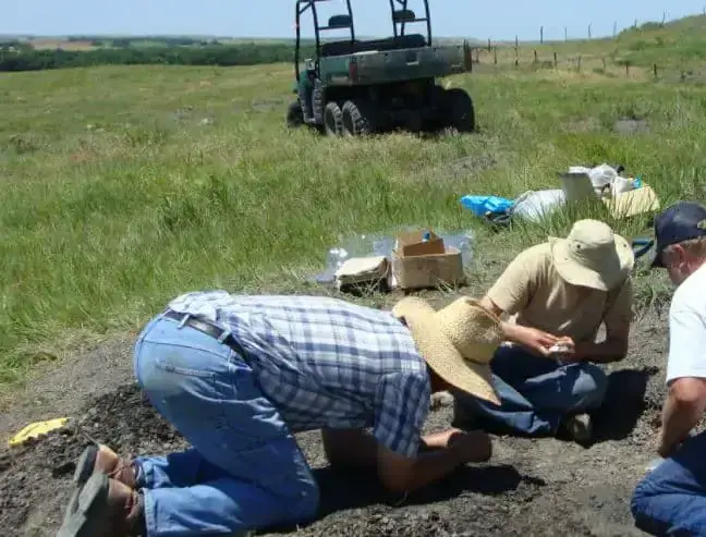 Researchers discover new 91-million-year-old giant shark species in Kansas