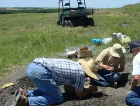 Researchers discover new 91-million-year-old giant shark species in Kansas