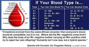 Blood type Rh negative and Alien DNA: An otherworldly lineage of a species with amnesia?
