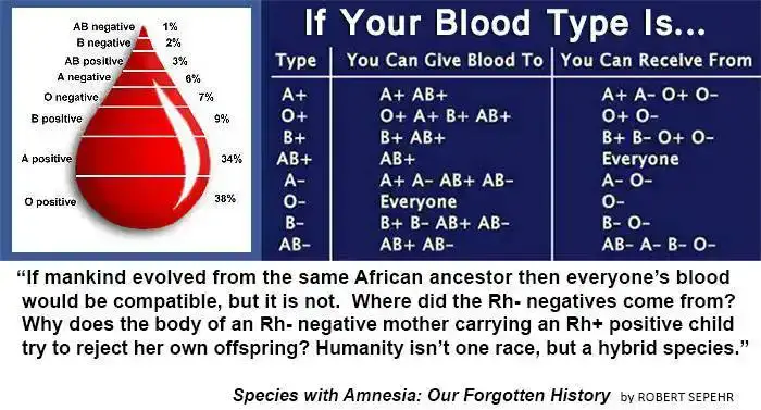Rhesus Negative: The Ancient Bloodline of the Nephilim?