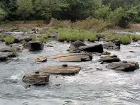The Indian River drains out for the first time revealing incredible ancient secrets
