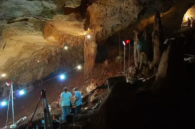 Study reveals ancient humans migrated to the Levant from Europe 40,000 years ago