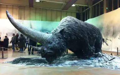 What became of the Siberian unicorns that once walked the Earth?