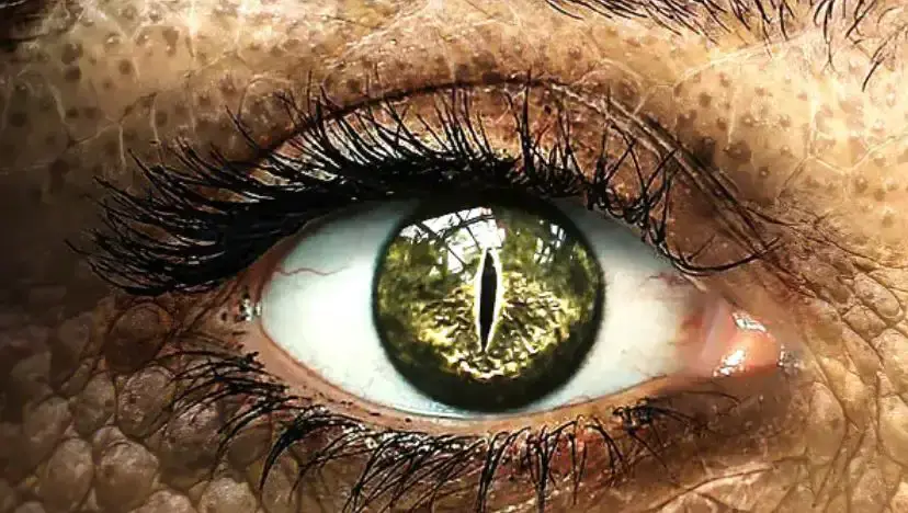 Venomous Humans Could Evolve Due to Common Ancestor with Reptiles