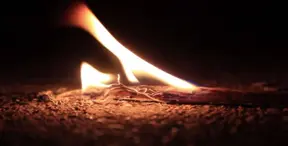 New study suggests Homo sapiens were not the first to use fire