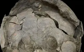 Infants found buried in Ecuador were wearing 'helmets' made from other children's skulls