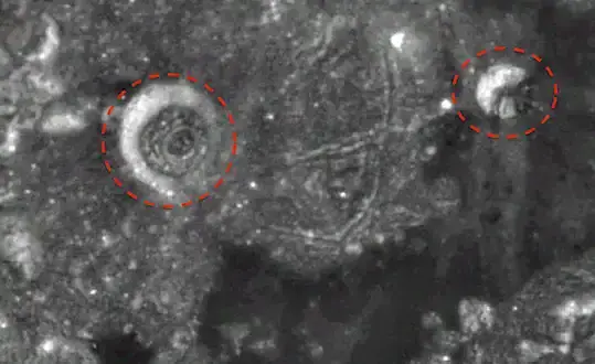 Alien “city” found on the Moon state Ufologists: Here is how to find it yourself