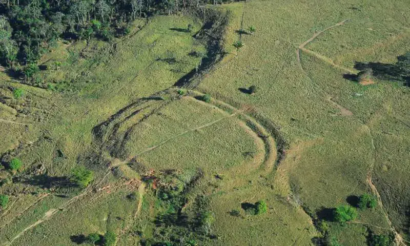 Traces of a lost civilization? Researchers find hundreds of mysterious structures in the Amazon