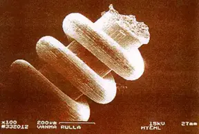 Ancient Nanotechnology: Evidence of advanced Pre-Flood civilizations