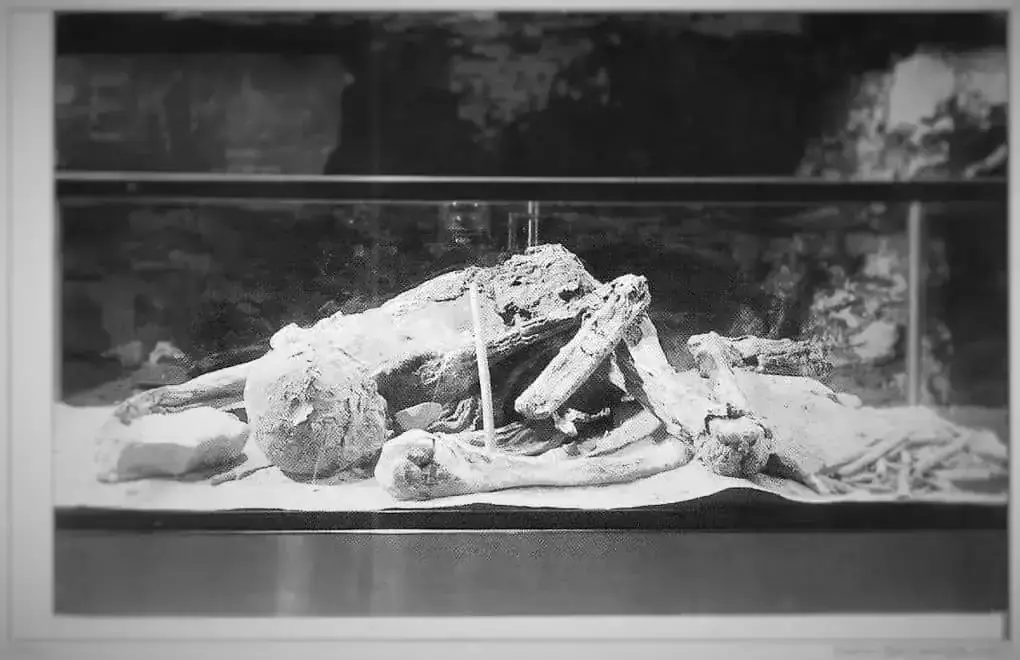The mysterious Fawn Hoof Mummy: Ancient Egyptian Presence in North America