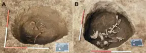 Alien-like elongated skulls discovered in Croatia similar to finds across the globe