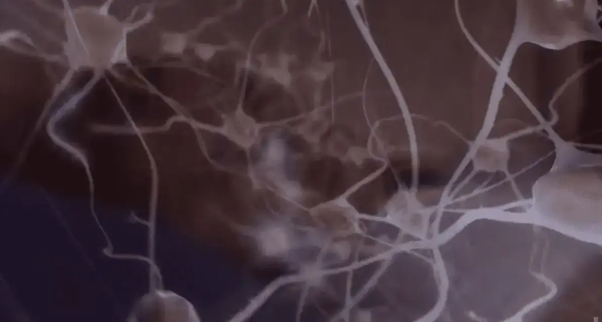 Was the Drive to Rewrite the Code of Life Seeded In Our DNA?