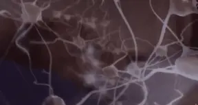 Was the Drive to Rewrite the Code of Life Seeded In Our DNA?