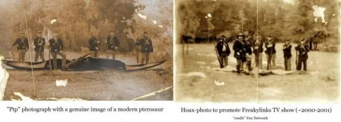 A Real Image Of An Pterodactyl? The Mystery Behind The Civil War Dinosaur Photo