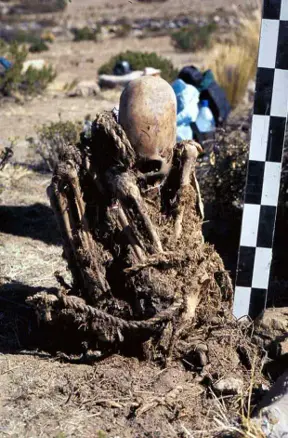 Researchers in Bolivia find two skeletons with abnormally elongated skulls
