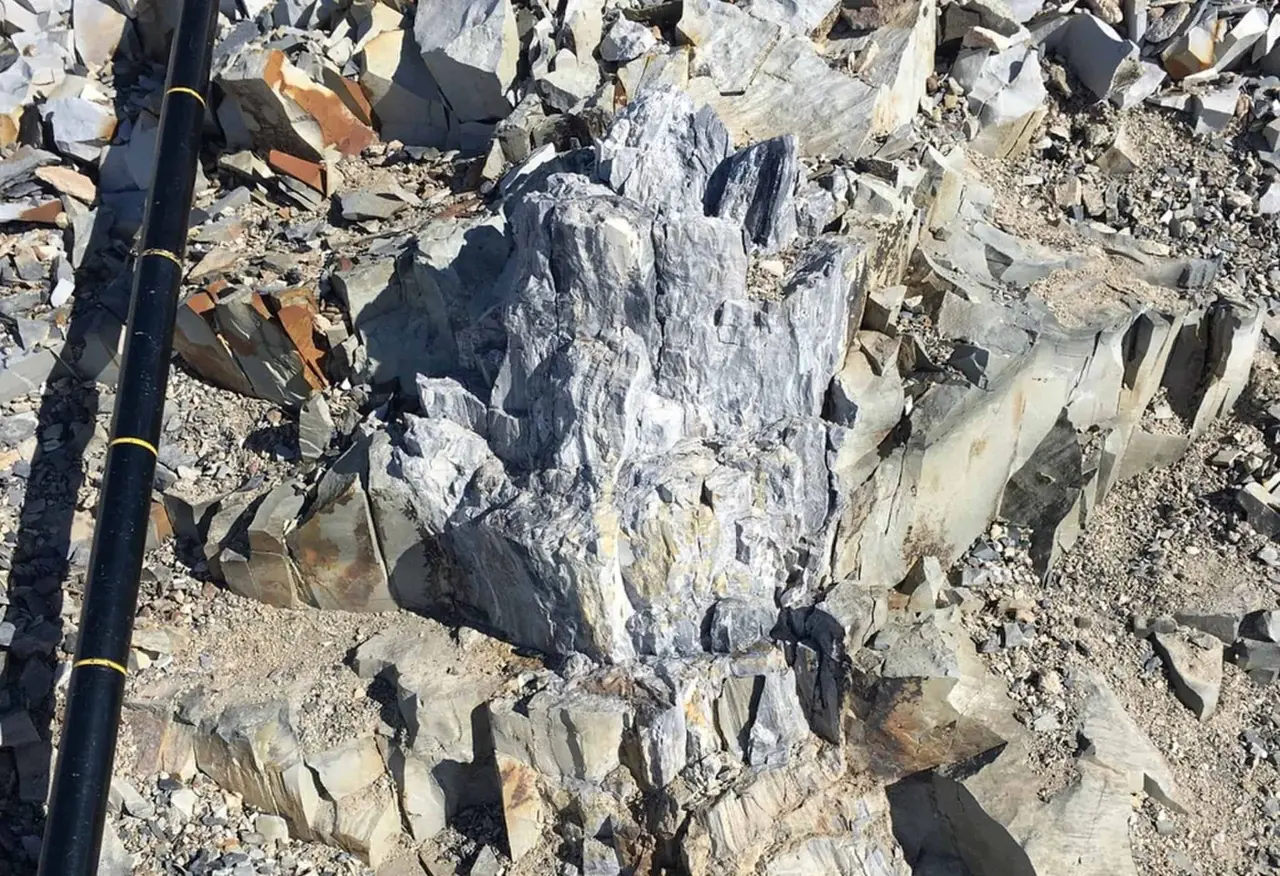 Newly-found fossils reveal Antarctica had lush forests before Dinosaurs existed