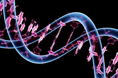 Humans are a hybrid species according to Geneticist