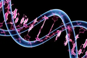 Humans are a hybrid species according to Geneticist