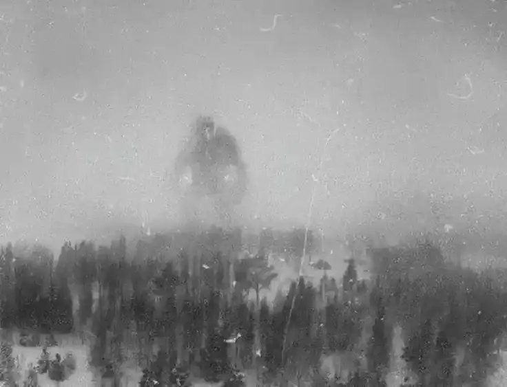 The mystery behind the 1942 RAF recon flight that spotted a giant
