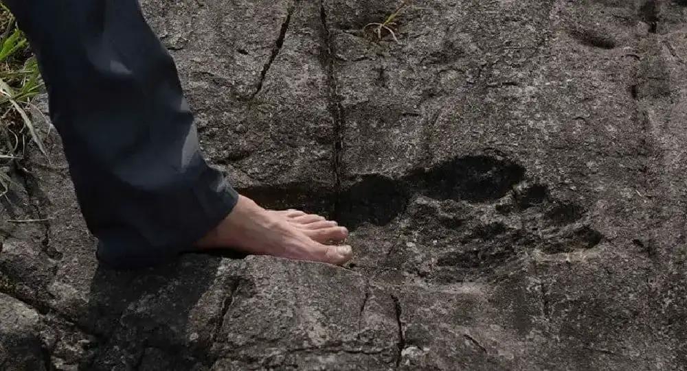 A giant footprint has been discovered in China