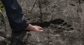 A giant footprint has been discovered in China