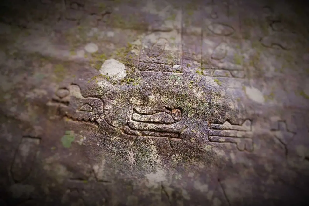 What are 5,000-year-old Egyptian Hieroglyphs doing in Australia?