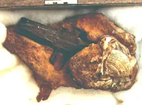 Here Are 5 Mysterious Artifacts Which Date Back Millions Of Years