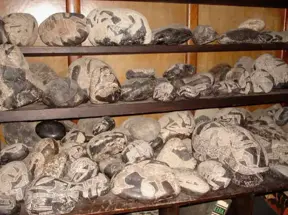 The Ica Stones: 20 fascinating, rare images of the controversial stones