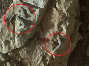NASA Is Hiding Evidence Of Life On Mars Claims Scientists Who Says Has Evidence