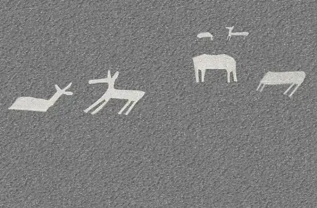 Archaeologists discover 24 new lines at Nazca