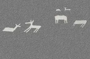 Archaeologists discover 24 new lines at Nazca