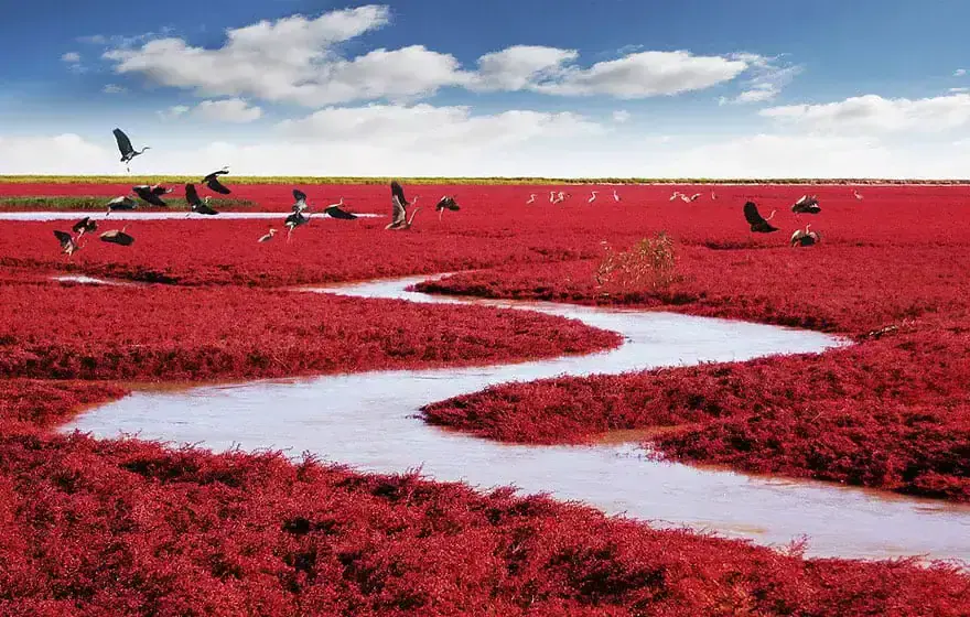 Here are 20 of the strangest places on Earth
