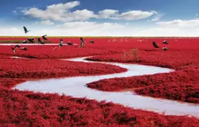 Here are 20 of the strangest places on Earth