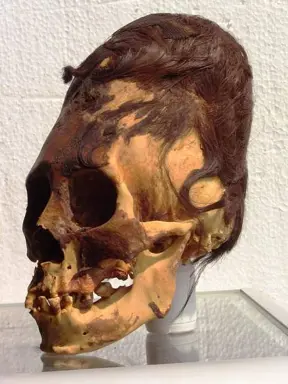 DNA Results Show The Elongated Paracas Skulls Are Not Native American
