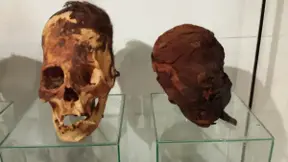 DNA Results For The Elongated Skulls Of Paracas: Part 4 Of 4: European Nobility?