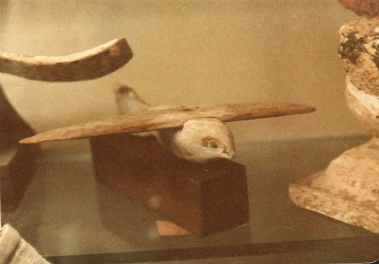 The mysteries of Ancient Egypt's Saqqara Bird