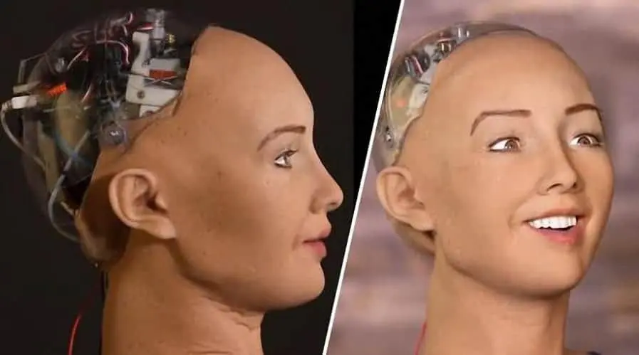 Sophia, the world's first Robot Citizen 'wants to start a family'
