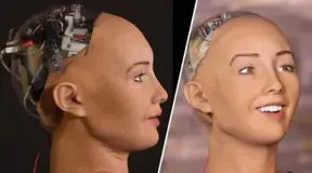 Sophia, the world's first Robot Citizen 'wants to start a family'