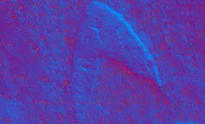 NASA orbiter finds 'Star Trek' Starfleet insignia on the surface of Mars