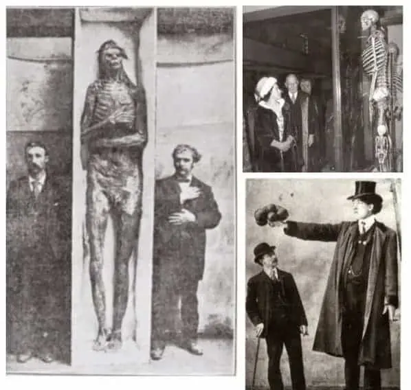 The mystery behind the 18 Giant skeletons found in Wisconsin