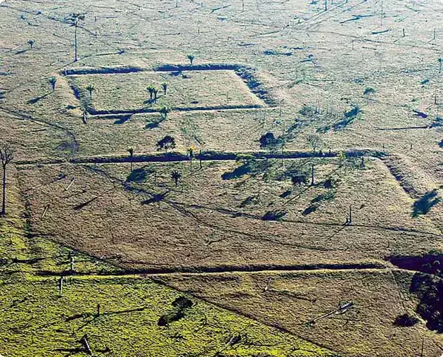 2035184-2