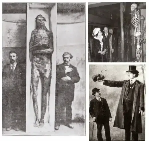 USA-Giants-Skeletons