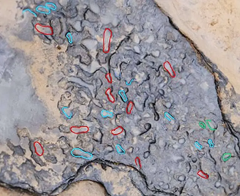 image_1749_3e-Happisburgh-Footprints
