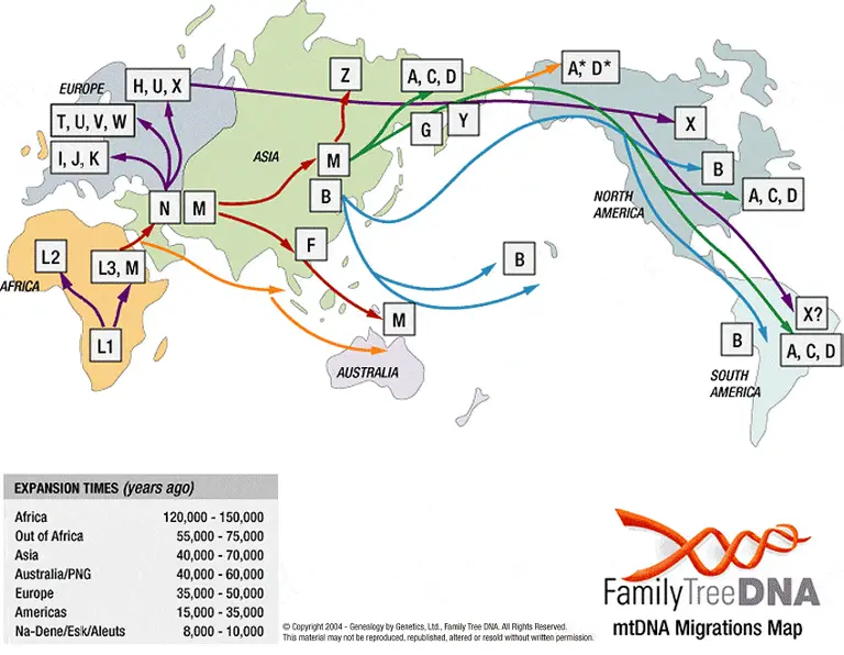 migration_map_wfn1
