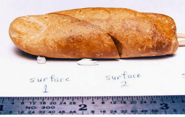 The 100-million-year-old fossilized human finger