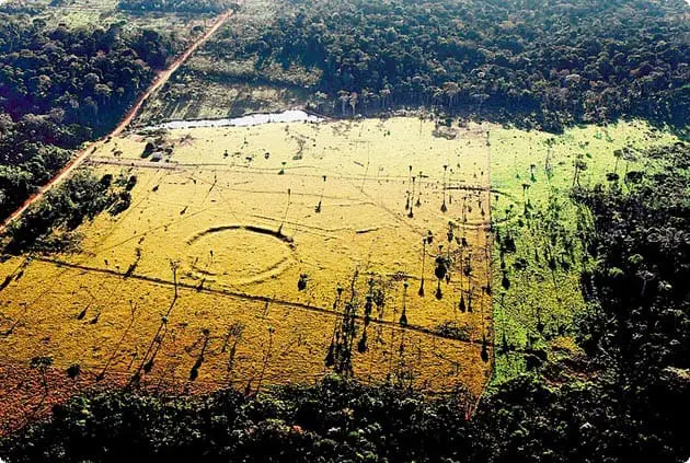 A Previously Unknown Civilization Has Been Found Deep Inside The Amazon
