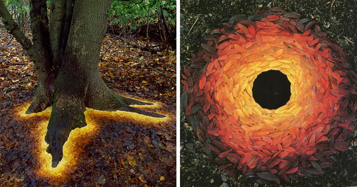 An artist arranged leaves, sticks, and stones, creating magical Land Artworks