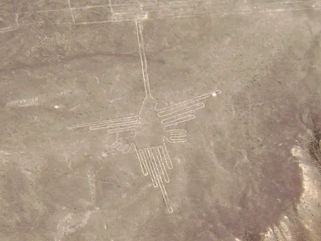 Nazca Lines Humming Bird